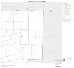 2000 Census County Subdivison Block Map: Hamlin CCD, Texas, Block 2