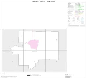 2000 Census County Subdivison Block Map: Seymour CCD, Texas, Index
