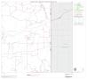 Thumbnail image of item number 1 in: '2000 Census County Subdivison Block Map: Canadian South CCD, Texas, Block 5'.