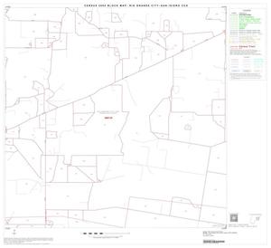 2000 Census County Subdivison Block Map: Rio Grande City-San Isidro CCD, Texas, Block 9