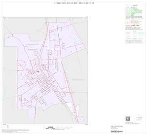 2000 Census County Subdivison Block Map: Grapeland CCD, Texas, Inset A01