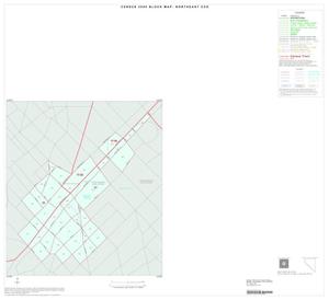 2000 Census County Subdivison Block Map: Northeast CCD, Texas, Inset B01
