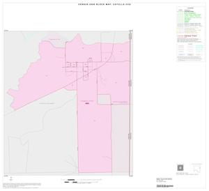 2000 Census County Subdivison Block Map: Cotulla CCD, Texas, Inset B01