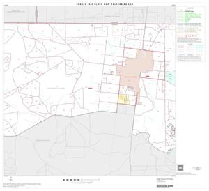 2000 Census County Subdivison Block Map: Falfurrias CCD, Texas, Block 3