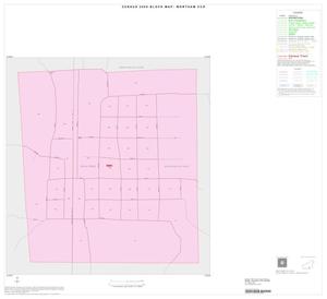 2000 Census County Subdivison Block Map: Wortham CCD, Texas, Inset C01