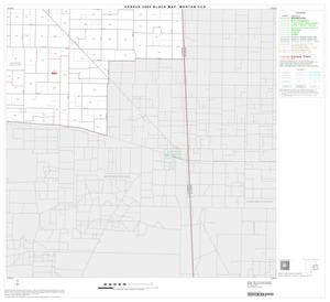 2000 Census County Subdivison Block Map: Morton CCD, Texas, Block 6