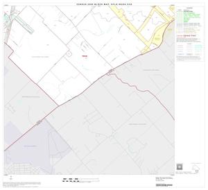2000 Census County Subdivison Block Map: Kyle-Buda CCD, Texas, Block 13