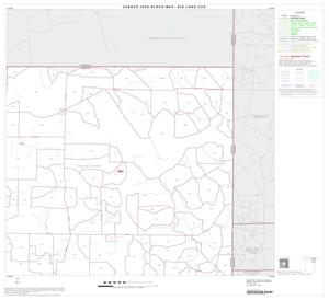 2000 Census County Subdivison Block Map: Big Lake CCD, Texas, Block 3