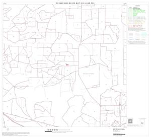 2000 Census County Subdivison Block Map: Big Lake CCD, Texas, Block 8
