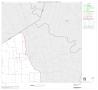 Thumbnail image of item number 1 in: '2000 Census County Subdivison Block Map: Louise CCD, Texas, Block 2'.