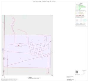2000 Census County Subdivison Block Map: Pecan Gap CCD, Texas, Inset A01