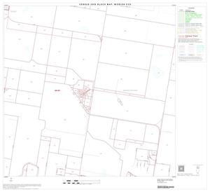 2000 Census County Subdivison Block Map: Mission CCD, Texas, Block 5