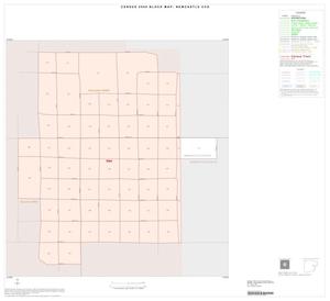 2000 Census County Subdivison Block Map: Newcastle CCD, Texas, Inset A01