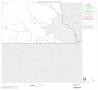 Map: 2000 Census County Subdivison Block Map: Iraan CCD, Texas, Block 9