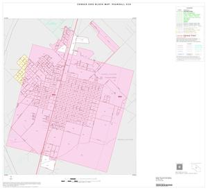 2000 Census County Subdivison Block Map: Pearsall CCD, Texas, Inset A01