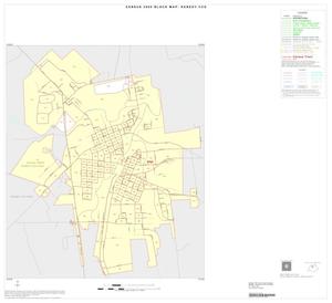 2000 Census County Subdivison Block Map: Kenedy CCD, Texas, Inset A01