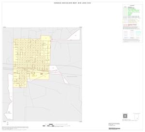 2000 Census County Subdivison Block Map: Big Lake CCD, Texas, Inset A01