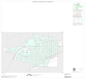 2000 Census County Subdivison Block Map: Friona CCD, Texas, Inset A01