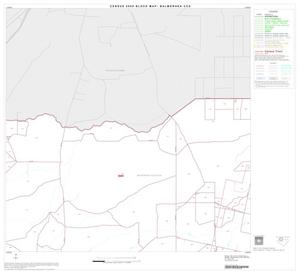 2000 Census County Subdivison Block Map: Balmorhea CCD, Texas, Block 2