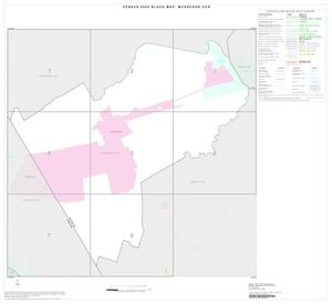 2000 Census County Subdivison Block Map: McGregor CCD, Texas, Index