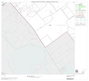 2000 Census County Subdivison Block Map: Kamey-Six Mile CCD, Texas, Block 3