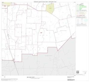 2000 Census County Subdivison Block Map: Winters CCD, Texas, Block 7