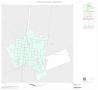 Thumbnail image of item number 1 in: '2000 Census County Subdivison Block Map: Granger CCD, Texas, Inset B01'.