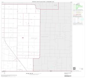 2000 Census County Subdivison Block Map: Sundown CCD, Texas, Block 3