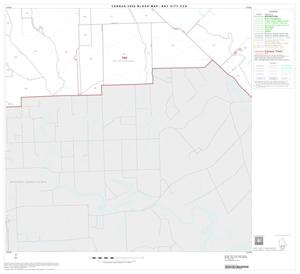 2000 Census County Subdivison Block Map: Bay City CCD, Texas, Block 10