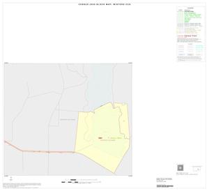 2000 Census County Subdivison Block Map: Winters CCD, Texas, Inset A05