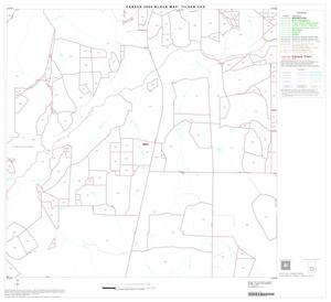 2000 Census County Subdivison Block Map: Tilden CCD, Texas, Block 8