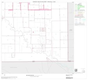 2000 Census County Subdivison Block Map: Driscoll CCD, Texas, Block 4