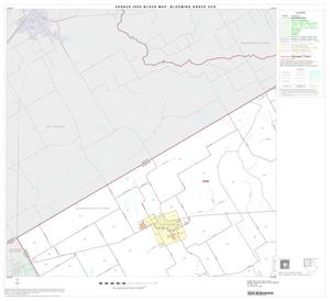 2000 Census County Subdivison Block Map: Blooming Grove CCD, Texas, Block 1