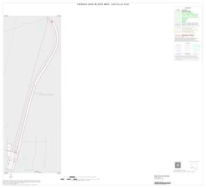 2000 Census County Subdivison Block Map: Cotulla CCD, Texas, Inset D01