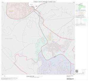 2000 Census County Subdivison Block Map: Burnet CCD, Texas, Block 10
