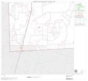 2000 Census County Subdivison Block Map: Encinal CCD, Texas, Block 3