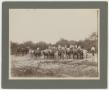 Photograph: [Group of Men Posing with Horse-Drawn Carts]