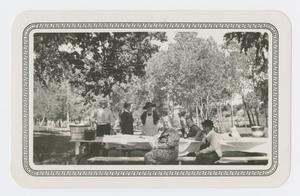 Primary view of object titled '[Sharpe and Brown Family Having a Picnic]'.