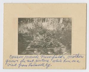 Primary view of object titled '[Grave Decorated with Plants]'.