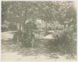 Thumbnail image of item number 1 in: '[Photograph of Annie and John Sharpe Sitting in a Garden]'.