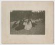 Primary view of [Photograph of a Picnic Beside a Creek]