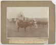 Thumbnail image of item number 1 in: '[The Bowen Family Riding Among Cattle]'.