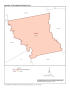 Primary view of 2007 Economic Census Map: Palestine, Texas Micropolitan Statistical Area