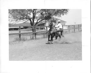 Cowboy Dismounting "Pretty Buck" at the Waggoner Ranch