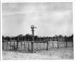 Thumbnail image of item number 1 in: 'Axtell Windmill on a Texas Ranch'.