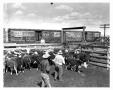 Primary view of Cattle Pen near some Cattle Cars