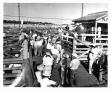 Photograph: Cowboys in the Stockyards