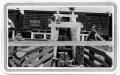 Thumbnail image of item number 1 in: 'Loading Cattle onto a Train at Langtry, Texas.'.