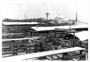Houston Stockyards in 1968