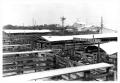 Photograph: Houston Stockyards in 1968